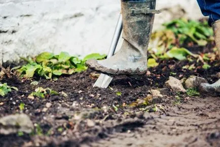 Weed a kertben a modern - bashagroplast