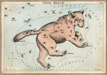 Nagy Medve (konstelláció)