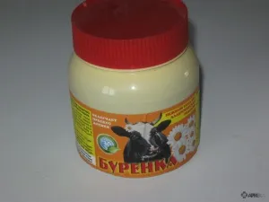 Burenka (kenőcs tőgy) tehenek, vélemények a gyógyszerek alkalmazásával az állatok és az állatorvosok (Burenka) Burenka (kenőcs tőgy) tehenek, vélemények a gyógyszerek alkalmazásával az állatok és az állatorvosok
