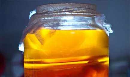 Kombucha hogyan nőnek a semmiből magad otthon
