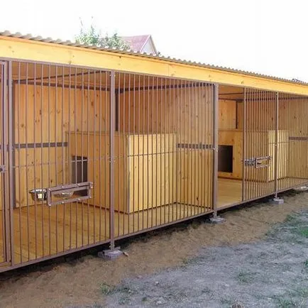 Bullmasztiff, Fajtajegyei, szabályok és az oktatás tartalma