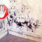 Hogyan mossuk át a toll, anyám puskát (a foltokat egy golyóstoll) Hogyan mossuk át a toll, anyám puskát