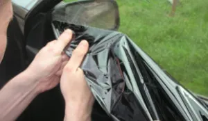 A bozót a ragasztó színezés - a fő módszerek és technikák