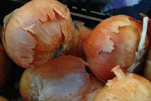 A feldolgozó üzemek levéltetvek -, hogyan lehet megszabadulni a (gyógyszerek és népi jogorvoslati)