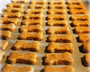 A takarmány-Spitz pomerániai természetes élelmiszerek és száraz élelmiszer (takarmány) Mi a takarmány egy pomerániai spicc természetes élelmiszerek és száraz élelmiszer