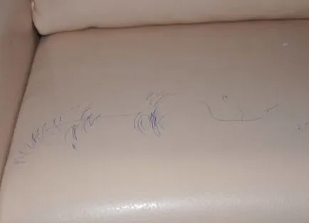 A bozót kezelni műbőr, vagy mossa a tinta a bőr kanapék és egyéb bőráruk, és a fotók (a bőr) A bozót kezelni műbőr, vagy mossa a tinta a bőrkanapé és egyéb objektumok a fényképet, és a bőr