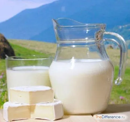 Mi a különbség a Tang ital ayran, hogy mi a különbség (ital) Mi a különbség a Tang ital ayran, mi a különbség