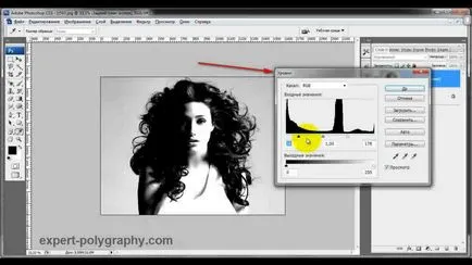 Négyutas vágni a tárgy photoshop (Photoshop) Négyutas vágni a tárgy photoshop