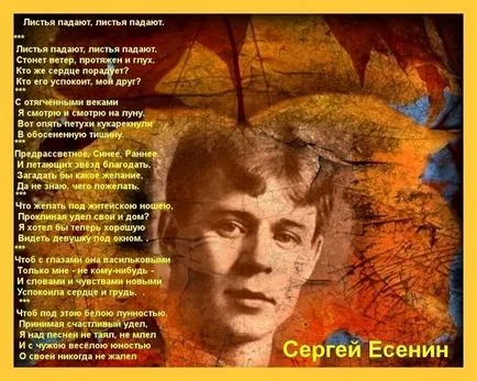 Mi a teendő, ha én vagyok a bolond (csinálni) Mi a teendő, ha bolond vagyok