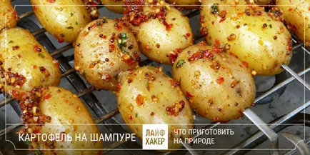 Mit kell főzni a szabadban, kivéve barbecue (ebben az esetben számítható) Mit kell főzni a szabadban, kivéve a kebab