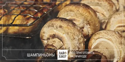 Mit kell főzni a szabadban, kivéve a barbecue (attól függően, hogy mennyi) Mit kell főzni a szabadban, kivéve a kebab