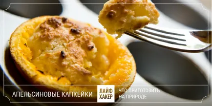Mit kell főzni a szabadban, kivéve a kebab (Nature) Mit kell főzni a szabadban, kivéve a kebab