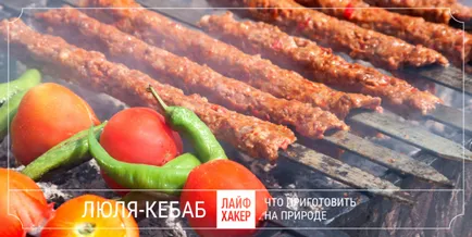 Mit kell főzni a szabadban, kivéve barbecue (ebben az esetben számítható) Mit kell főzni a szabadban, kivéve a kebab