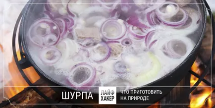 Mit elő a természetben, kivéve nyárs (darabszám összetevők függvénye) Mit kell főzni a szabadban, kivéve a kebab