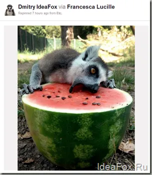 Mi pinterest (pinterest), hogyan kell használni, és használja a saját előnyükre
