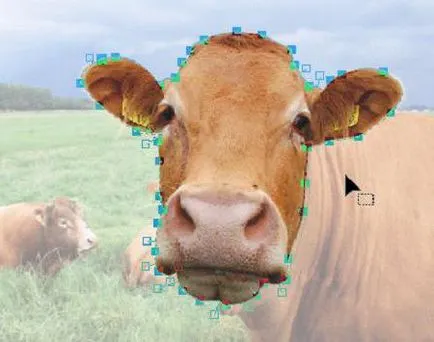 Mi a bitmap meghatározására, osztályozására, mely egyben a vektor (fordítás) Mi a bitmap meghatározására, osztályozására, mely egyben a vektor