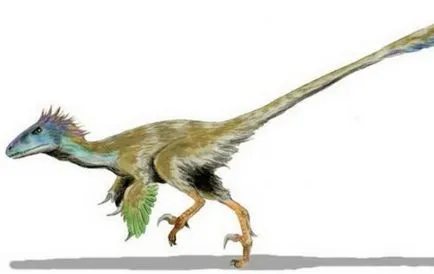 Hogyan alakult ki a dinoszauruszok