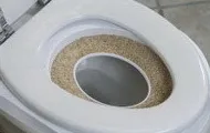 Citikitty - helyezze hozzászoktatni a macskát a WC 600 rubelt