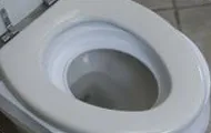 Citikitty - helyezze hozzászoktatni a macskát a WC 600 rubelt