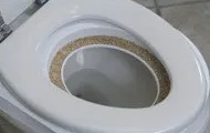 Citikitty - helyezze hozzászoktatni a macskát a WC 600 rubelt