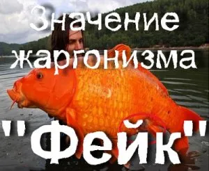 Mit jelent a hamis VKontakte oldal, ami azt jelenti, hogy hamis hamis (this) Mit jelent a hamis VKontakte oldal, amely azt jelenti, hogy ez egy hamis hamis
