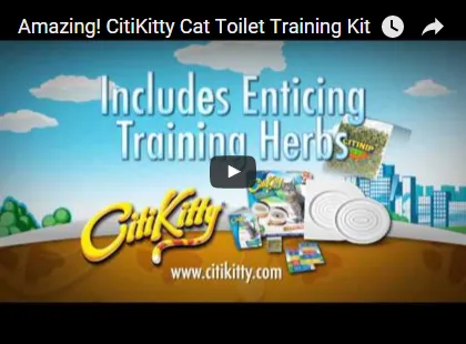Citikitty - helyezze hozzászoktatni a macskát a WC 600 rubelt