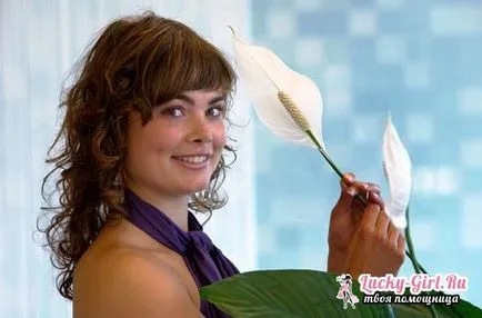 Flower női boldogság, hogyan kell gondoskodni