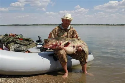 Tesszük croaker harcsa kezeddel