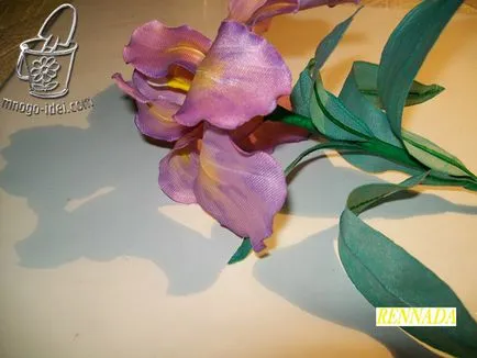 Virág saját kezűleg, az írisz mester osztály