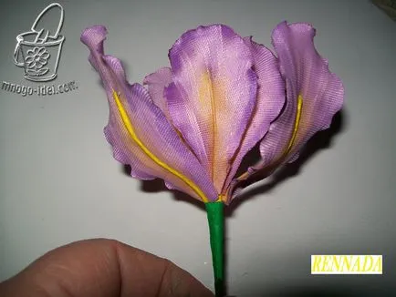 Virág saját kezűleg, az írisz mester osztály