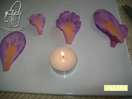 Virág saját kezűleg, az írisz mester osztály