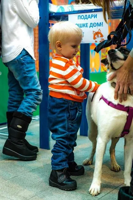 Gyermek szokás, hogy hol és hogyan lehet segíteni a gyerekekkel (lehetséges) Gyermek szokás, hogy hol és hogyan lehet segíteni a gyerekekkel