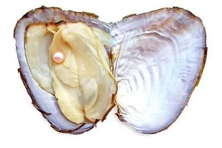 a kíváncsi