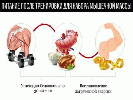 Akár milyen korban egyre izmok férfiak és nők egyaránt (emelkedő) Akár milyen korban egyre izmok férfiak és nők egyaránt