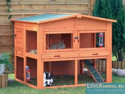 House dekorációs fülű