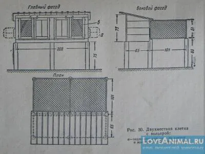 House dekorációs fülű