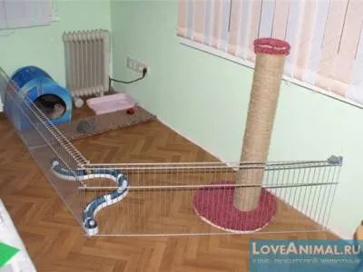 House dekorációs fülű