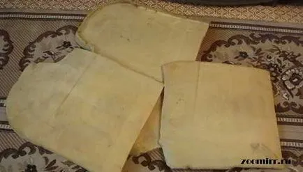 A kutyaház saját kezével, házi