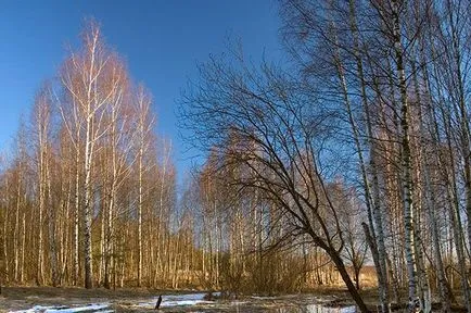 Hosszú távú előrejelzés 2017. március természet, a társadalom, érveket és tényeket (várható csapadék) Hosszú távú előrejelzés 2017. március természet, a társadalom, érveket és tényeket