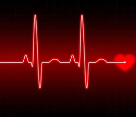 Elektrokardiográfia (EKG), a gyógyszer - jó enni! (EKG ráta) Elektrokardiográfia (EKG), a gyógyszer - jó enni!