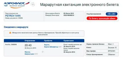 Elektronikus repülőjegy