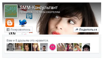 Facebook megtagadja laykboksa és lapozott a plugin, SMM-tanácsadó
