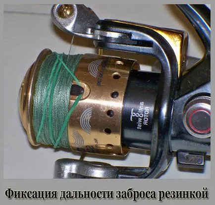 Feeder kezdőknek