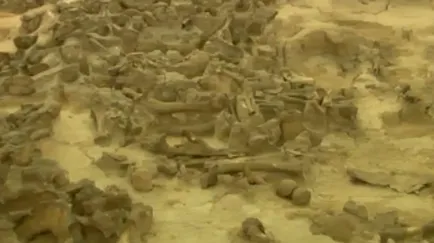 A hipotézis régészek, ahol az első ember megjelent