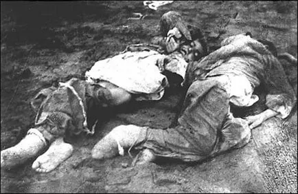 Örmény népirtás 1915