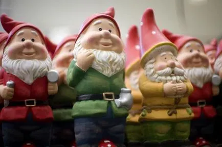 Gnome kívánságokat teljesítő, mint az ok részletes utasítások és ajánlások