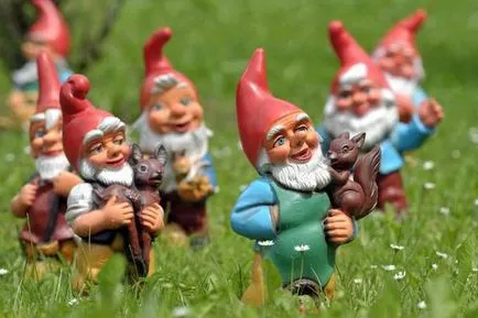 Gnome kívánságokat teljesítő, mint az ok részletes utasítások és ajánlások