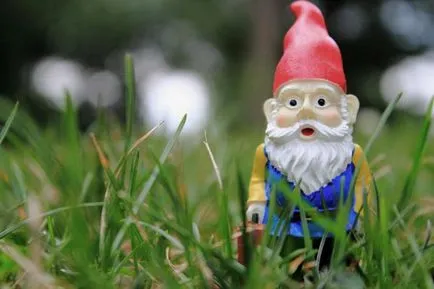Gnome kívánságokat teljesítő, mint az ok részletes utasítások és ajánlások