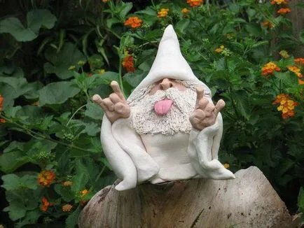 Gnome kívánságokat teljesítő, mint az ok részletes utasítások és ajánlások