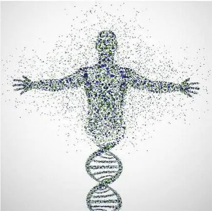 Gene, genom, kromoszóma meghatározása, szerkezet, funkció (szerkezete) Gene, genom, kromoszóma meghatározása, szerkezet, funkció